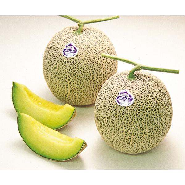 龍の鈴メロン (秀・大玉）2kg×4玉 北海道北竜産ひまわりめろん 出荷