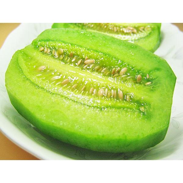 【北海道☆お野菜屋さん】ワンデル 3本 カンデル 4袋 オンラインショップ/こだわりのサービス - 北海道産羊・野菜
