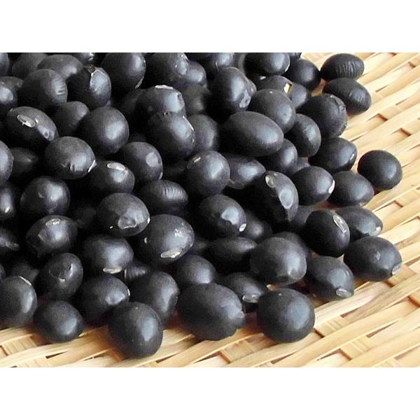 黒大豆（黒豆）5kg 北海道産 : 旬をお取り寄せ・北海道四季工房 - 通販