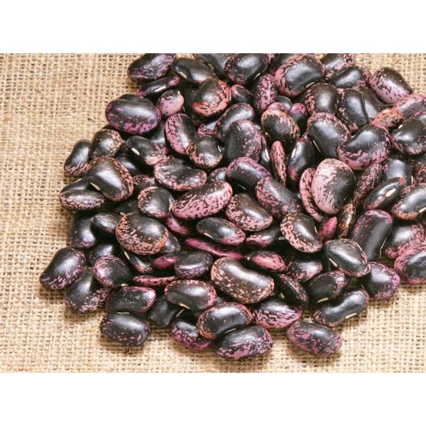 紫花豆 1kg 北海道産 はなまめ : 旬をお取り寄せ・北海道四季工房