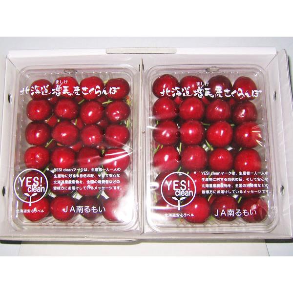 サミット（2L) 1kg (500g×2) 北海道増毛産 さくらんぼ 出荷期間：7月