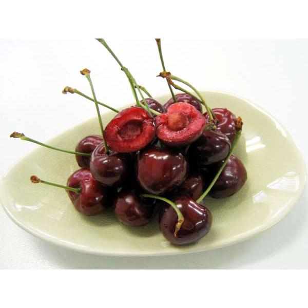 サミット（2L) 1kg (500g×2) 北海道増毛産 さくらんぼ 出荷期間：7月