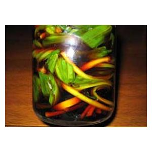 ギョウジャニンニク 天然 500g 北海道産行者にんにく 出荷時期 4 5月 San 002 旬をお取り寄せ 北海道四季工房 通販 Yahoo ショッピング