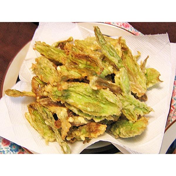フキノトウ 北海道産 朝採り 5キロ 本日の朝採りフキノトウ！の通販はau PAY マーケット - 輸入雑貨の