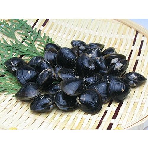 北海道網走湖産しじみ貝 冷凍 500g 1個 ヤマトシジミ Sijimi R1k 旬をお取り寄せ 北海道四季工房 通販 Yahoo ショッピング