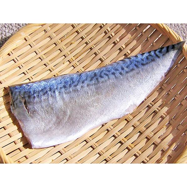 新大とろしめさば（12枚入 個包装）×1箱 真鯖 秋鯖 : 旬をお取り寄せ