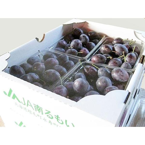プルーン シュガー 2Kg（生果実 500g×4）北海道産 出荷時期：10月 : 旬
