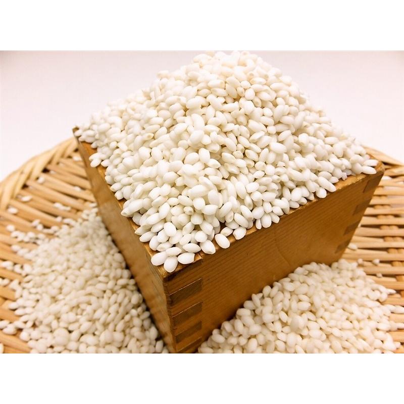 ほしのゆめ 田からもち Aセット(5種・計6パック) 北海道北竜産 餅 : 旬