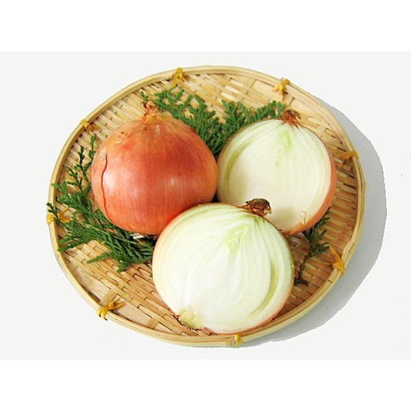 玉ねぎ（L大）20Kg 北海道産 たまねぎ 出荷時期：9〜4月 : 旬をお