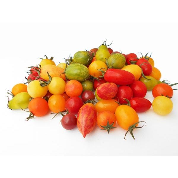カラフルミニトマト 1Kg （約10種類・70〜80粒程度）北海道剣淵産 出荷