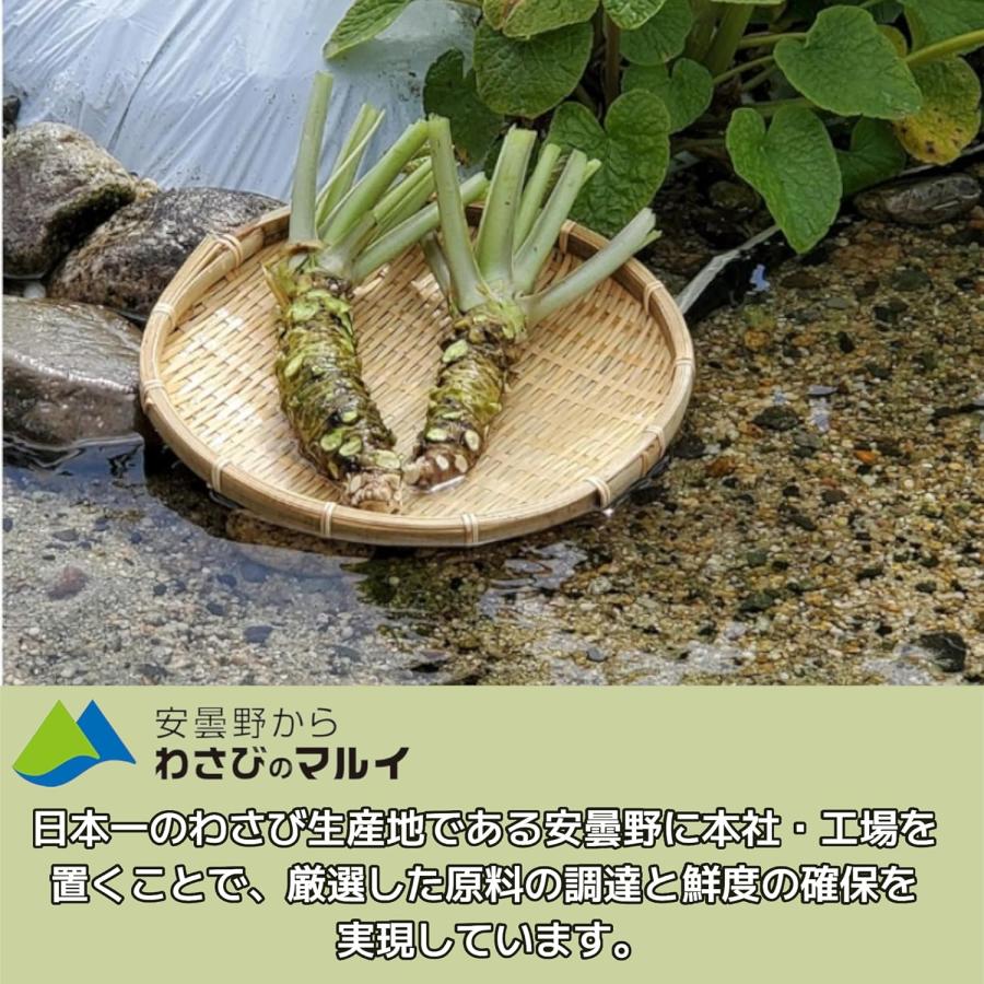 マルイ 本わさび 2.5g 100袋 業務用 小袋 小分け 寿司 国産 オリジナル