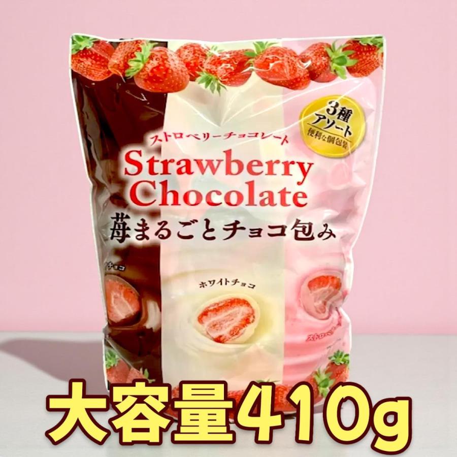 まるごと苺チョコ 3種類 410g (約33粒) フリーズドライ いちご
