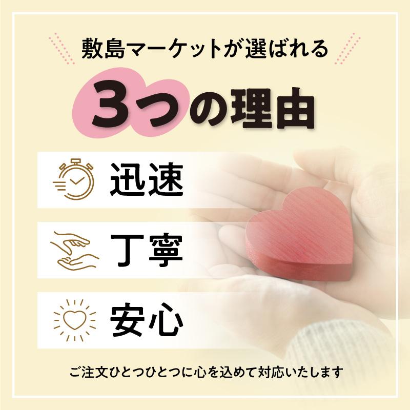ヨーグルッペ 20本 詰め合わせ (4種類各5本) 定番のリンゴ味とぶどう味