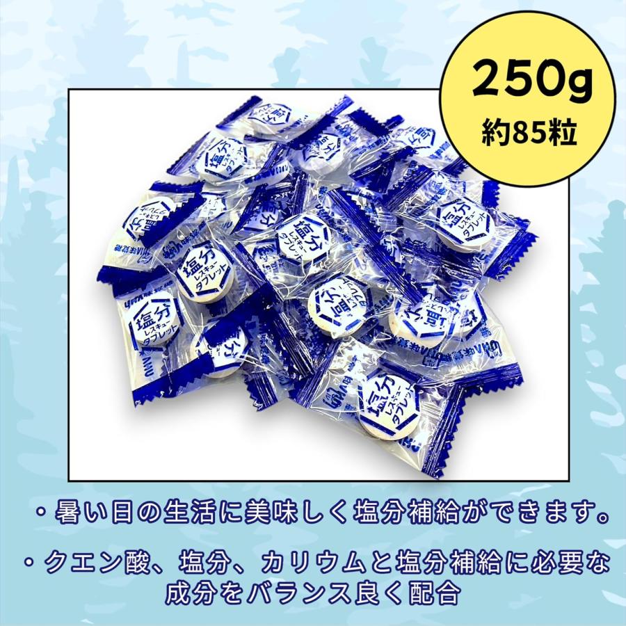 UHA味覚糖 塩分レスキュータブレット500g(約170粒)スポーツドリンク味