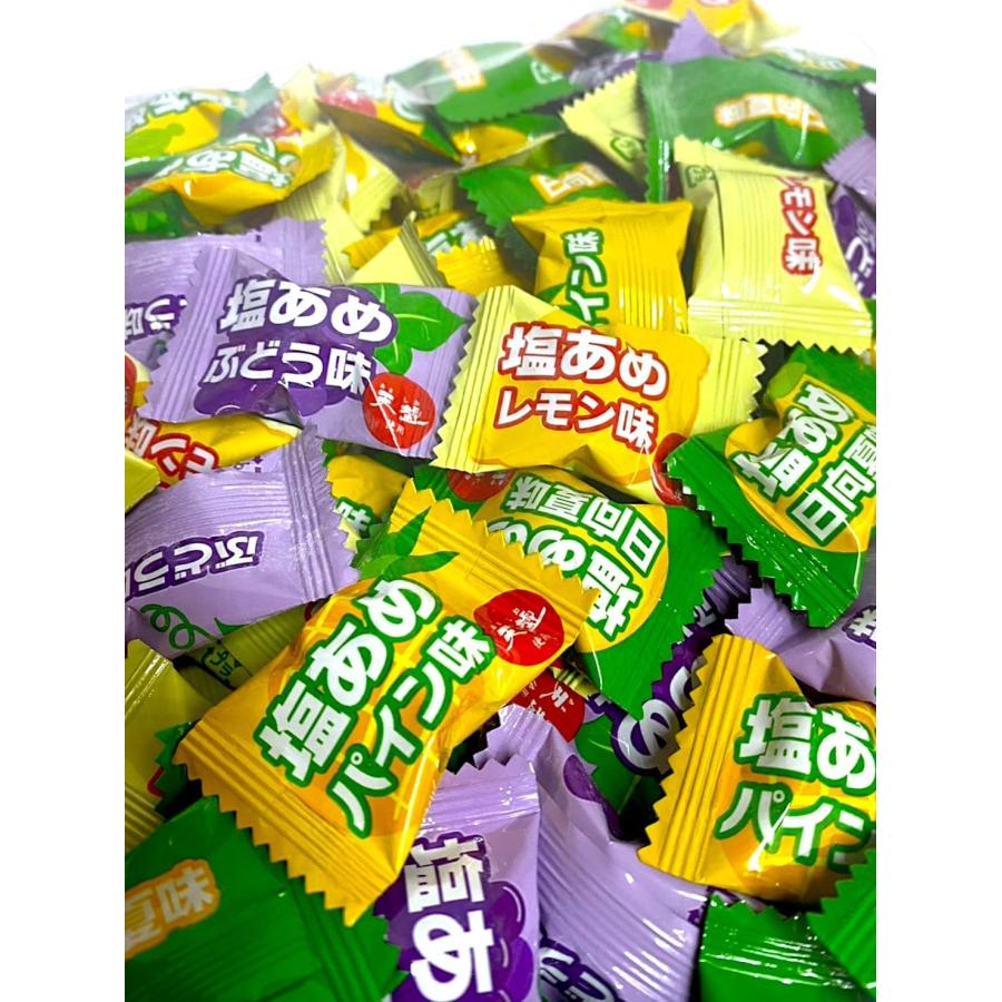 天塩の塩あめ 4種ミックス 500g (約125粒) 塩飴 業務用 熱中症 熱中症対策 の商品画像