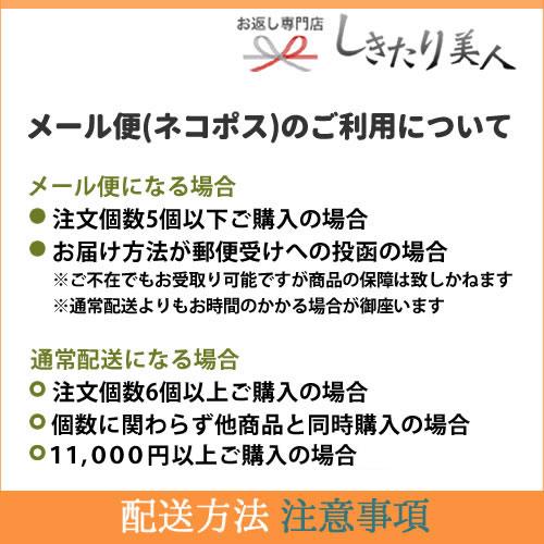 カタログギフト 3500円 景品 忘年会 記念品 男性 女性 お見舞いお返し 品物 【メール便可】シンプルチョイス Euaエウア (G-CO)｜sikitari｜08