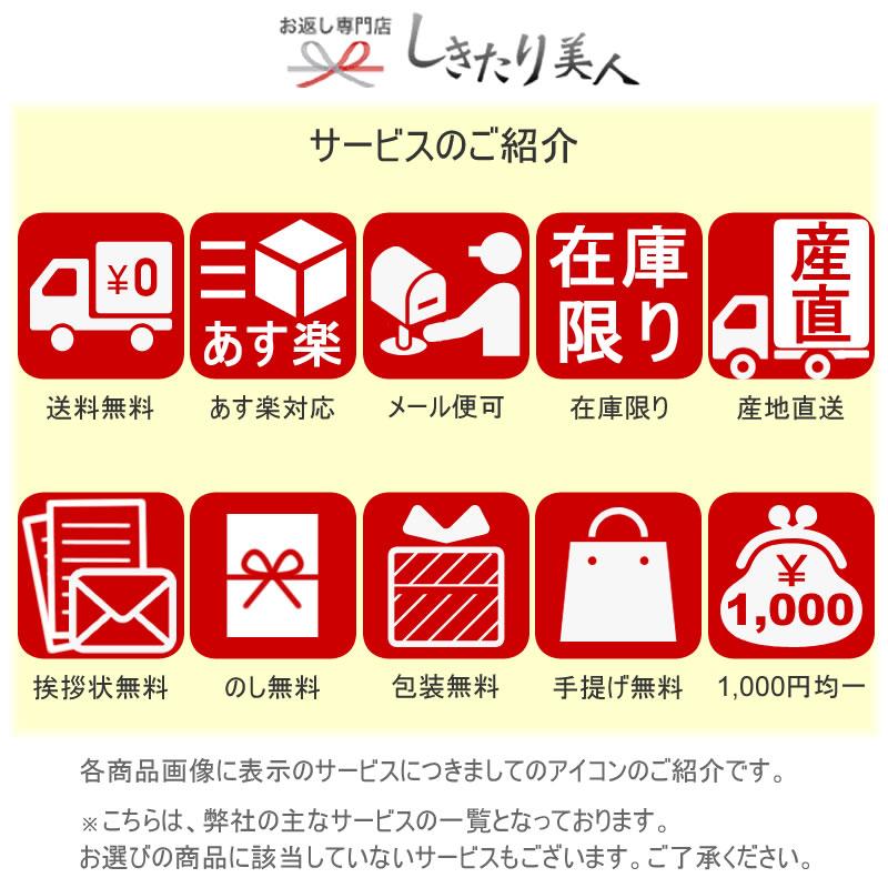 香典返し お茶 品物 高級 ギフト 法事のお返し 一周忌 法要 お供え 静岡煎茶詰合せ（S-E） |  | 02
