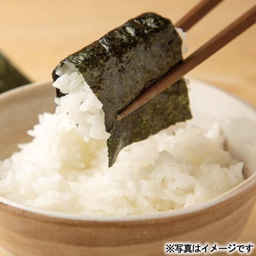 浜乙女 お中元 ギフト 2026 海苔 ギフトセット 遠赤焙焼 味のり