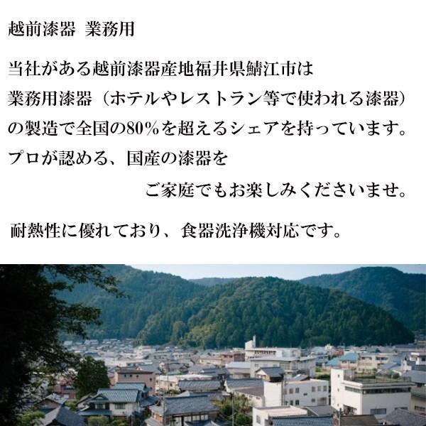 ピッチャー 水差し 食洗機対応 銀 石目 越前漆器 業務用 食器 食器洗浄 