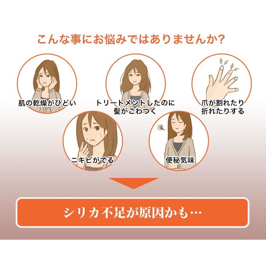 50 Off シリカ水スティック お試し1本 高濃度シリカ水を作って飲めるスティック Wantannas Go Id