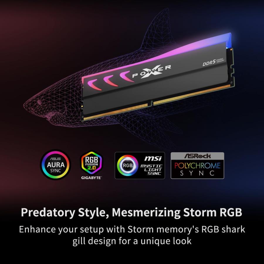 Silicon Power（シリコンパワー） DDR5 64GB (2x32GB) Storm RGB