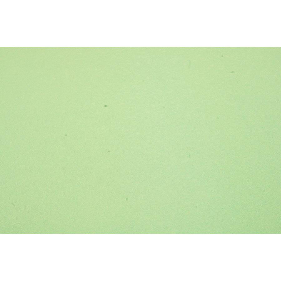 ミントグリーン ちりめん はぎれの商品一覧 通販 Yahoo ショッピング