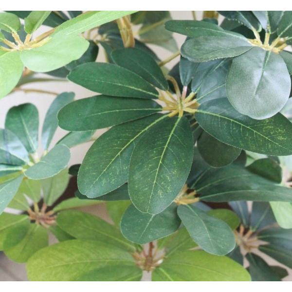 造花 インテリア 観葉植物 大型 カポックツリー150 TB938 DG snb CT触媒 人工観葉植物 フェイクグリーン bgrの画像