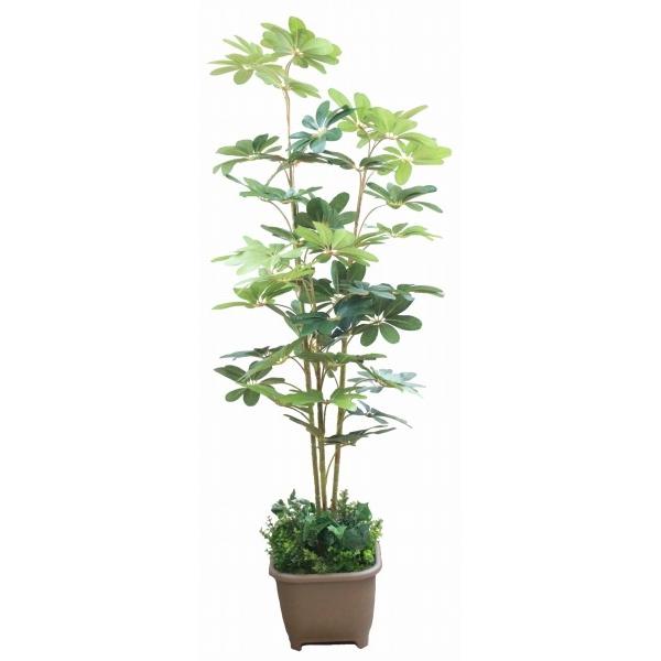 造花 インテリア 観葉植物 大型 カポックツリー150 TB938 DG snb CT触媒 人工観葉植物 フェイクグリーン bgrの画像