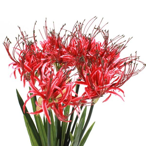 造花 彼岸花 6本セット 曼珠沙華 FM8392 シルクフラワー