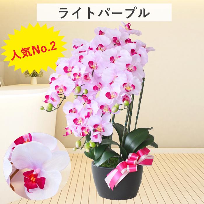 造花 胡蝶蘭 常滑産陶製鉢に入った気品あふれるシルクフラワーの
