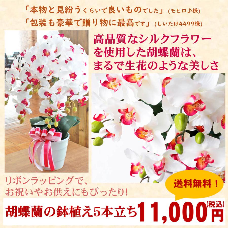 造花 胡蝶蘭 常滑産陶製鉢に入った気品あふれるシルクフラワーの胡蝶蘭