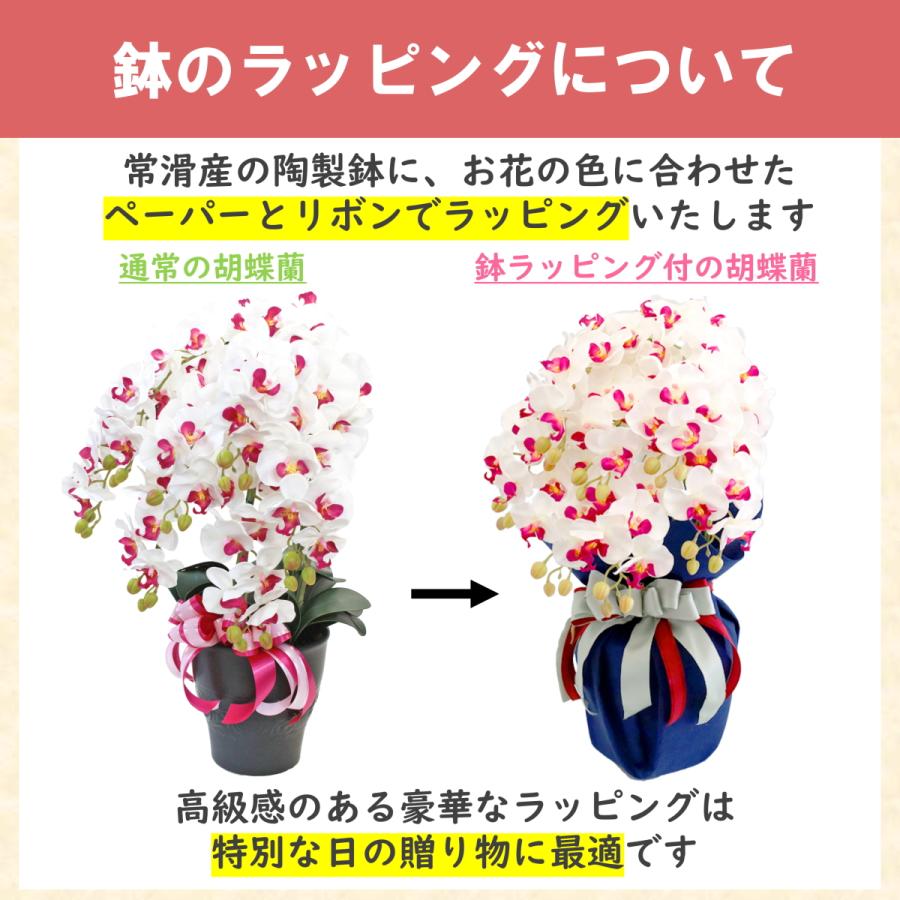 豪華ラッピング付き 造花 胡蝶蘭 陶器製の鉢に入った気品あふれる
