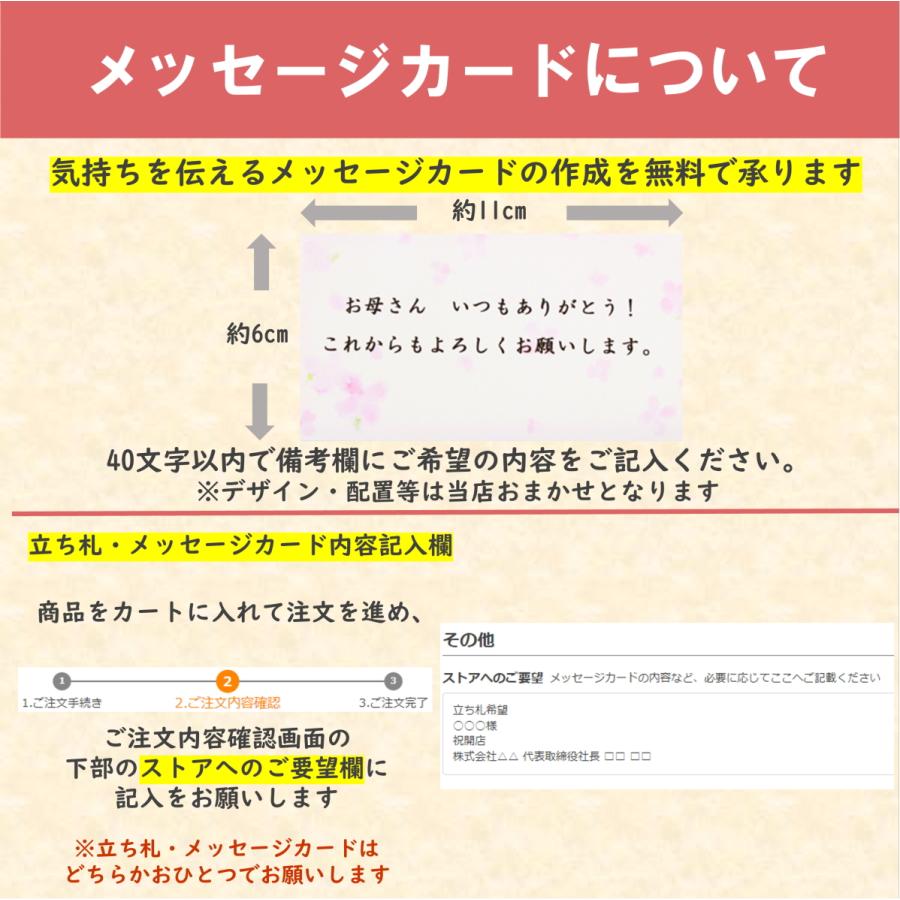 造花 常滑産陶製鉢に入った気品あふれるシルクフラワーの胡蝶蘭の鉢植え 7本立 お祝い ギフト 開店祝い 敬老の日 CT触媒 光触媒 就任 昇進 栄転｜silkflower｜18