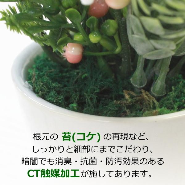 造花 姫グリーンアレンジ5個おまかせセット観葉植物 造花 シルクフラワー CT触媒 人工観葉植物 フェイクグリーン mgr｜silkflower｜06