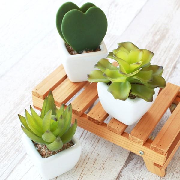 訳あり 造花 陶器に入った多肉植物3個セット 観葉植物 シルクフラワー ミニグリーン 多肉植物 ハートホヤ エケベリア Ct触媒 人工観葉植物 フェイクグリーン