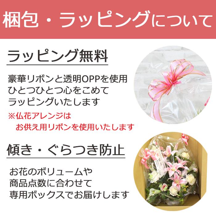 母の日 2026 カーネーション プレゼント フラワーギフト 花