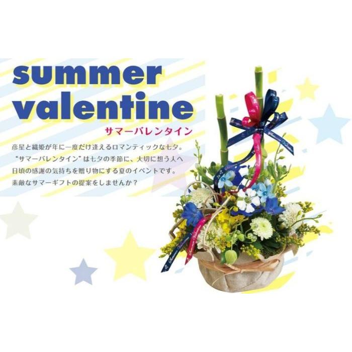 東京リボン サマーV・カーリングリボン 約7mm×100m リボン 贈答 ギフト