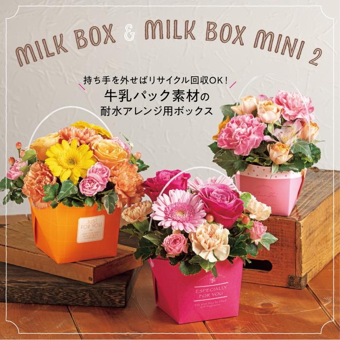 東京リボン ミルクBOX 20枚入り 紙袋 贈答 ギフト プレゼント