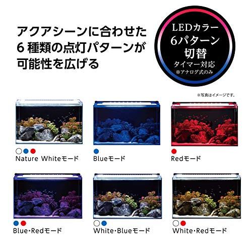 コトブキ 水槽 フラットled Hl900 1個 X 1 Vitalitafisio Com Br