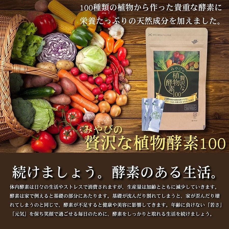 贅沢な 植物酵素 100 （ペースト） 【ゆうパケット対象商品】｜silom｜02