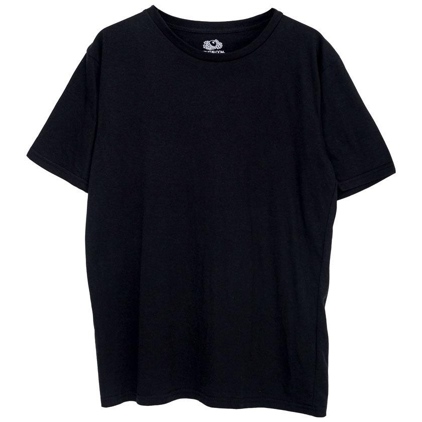 FRUIT OF THE LOOM（フルーツオブザルーム） Tシャツ メンズ 半袖 3枚