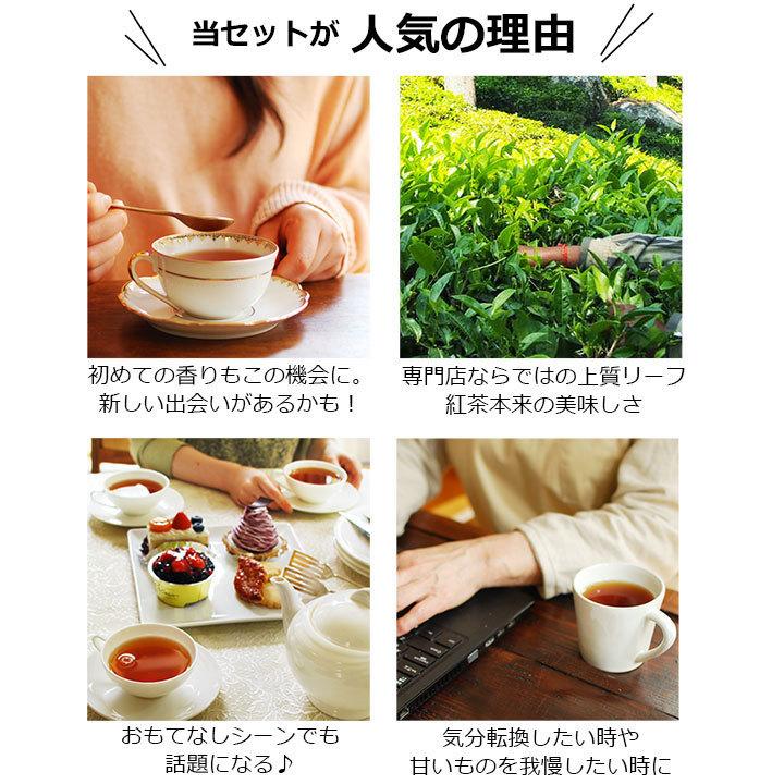 メール便 送料無料 紅茶 セット 今月のflavour 7月版 Flavourset 紅茶専門店シルバーポット 通販 Yahoo ショッピング