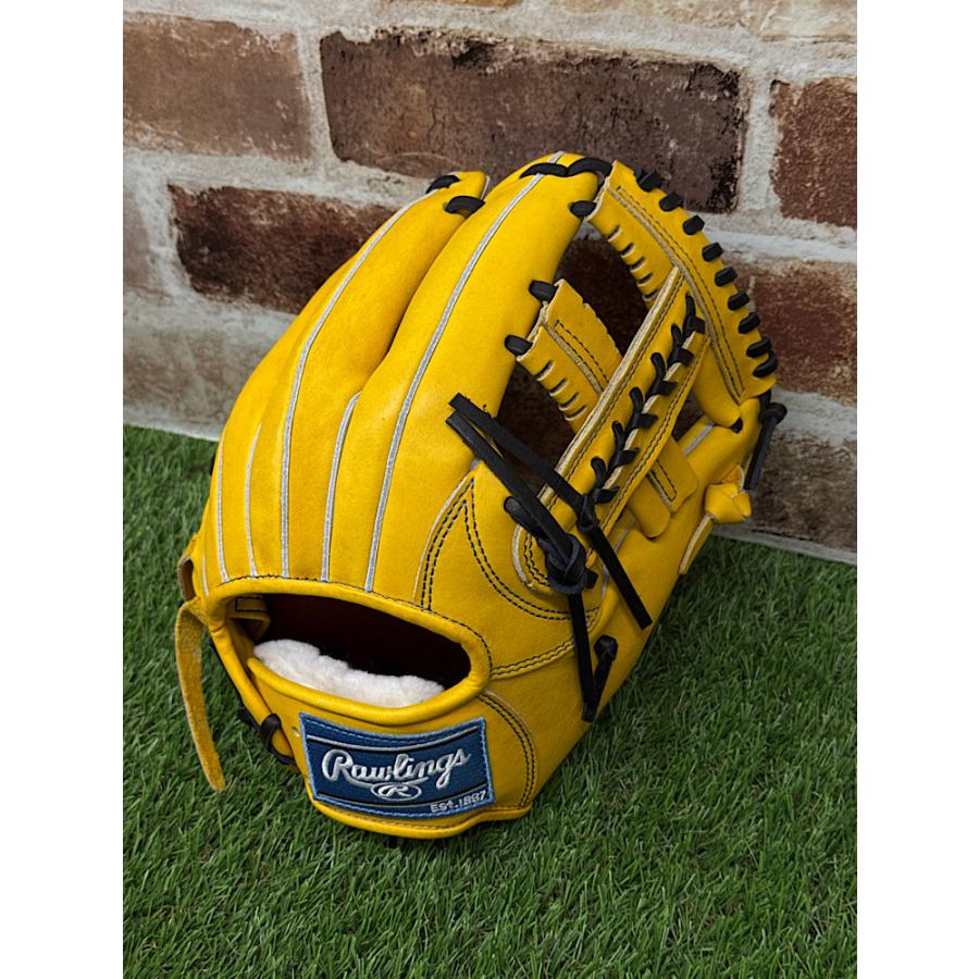 Rawlings ゴールドシリーズ 右投げ用 Rawlings Gold Glove 右投げ用
