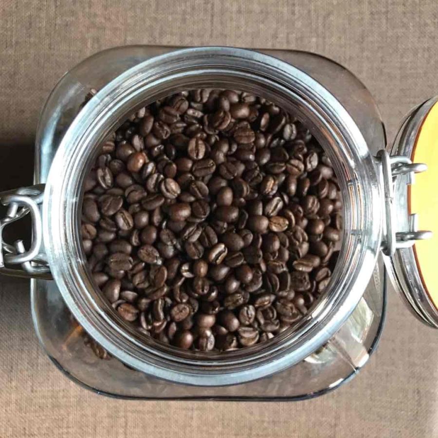 コーヒー豆 コスタリカ・レッドハニー 100g 自家焙煎珈琲豆