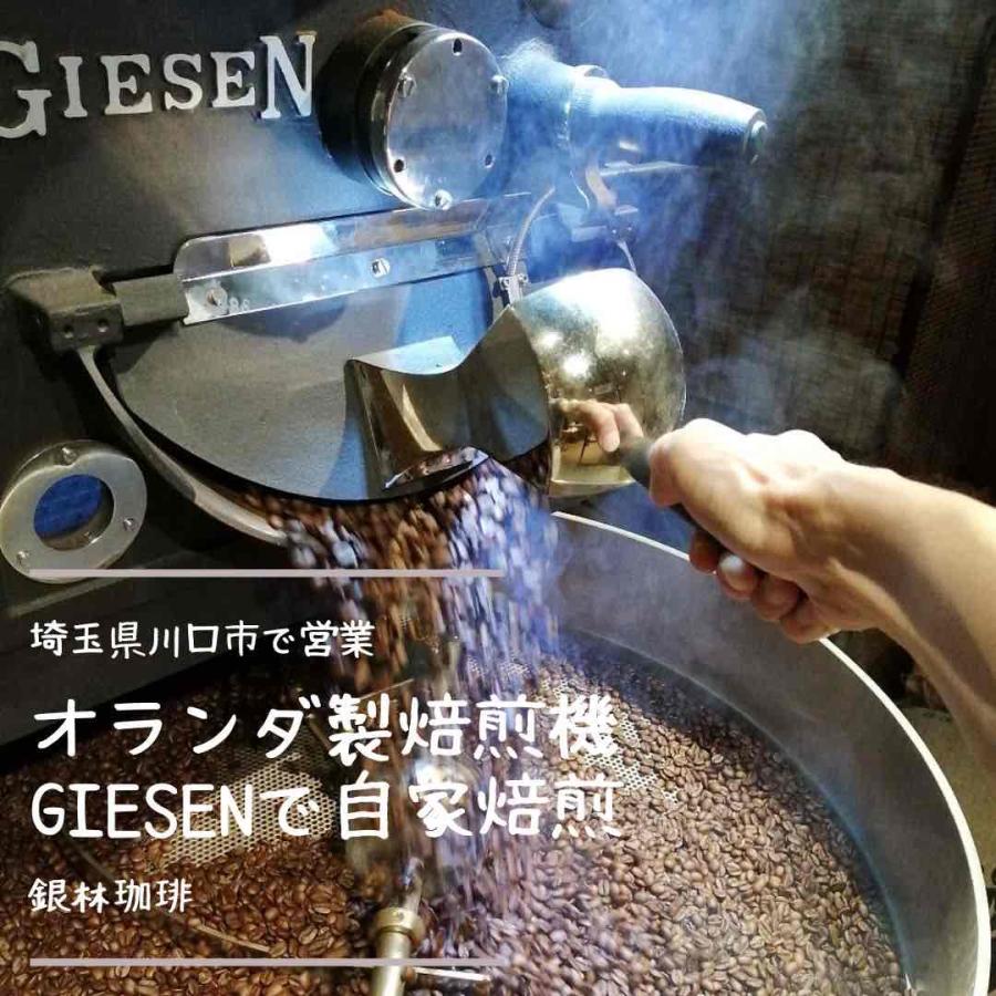 コーヒー豆 コスタリカ・レッドハニー 100g 自家焙煎珈琲豆