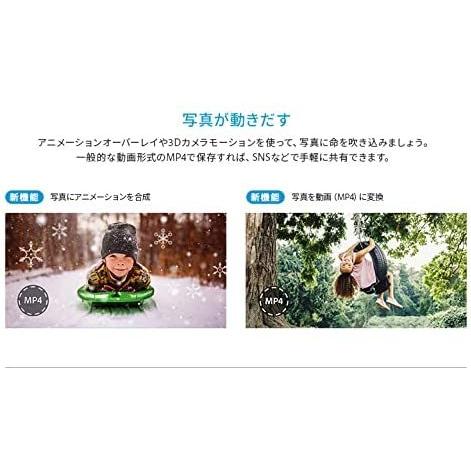 アドビシステムズ Adobe Photoshop Elements 2022 Mac版 ダウンロード版|simada|03