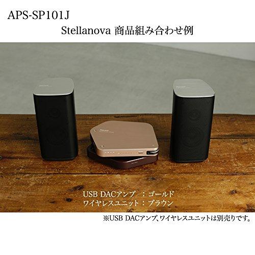  パイオニア Stellanova ハイレゾ対応パッシブスピーカーシステム(左右セット) APS-SP101J
