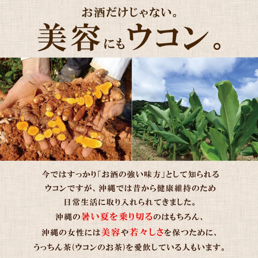 ウコン サプリ お酒ケア しまのや 公式 琉球発酵ウコン（250mg×3粒