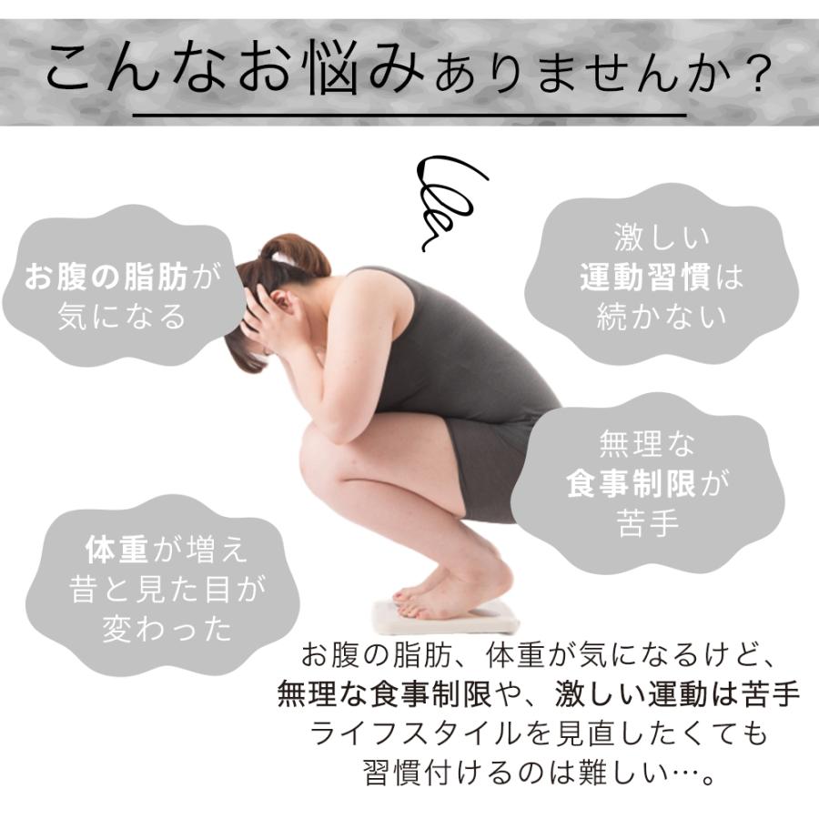 ダイエットコーヒー しまのや 公式 機能性表示食品 スリムストン