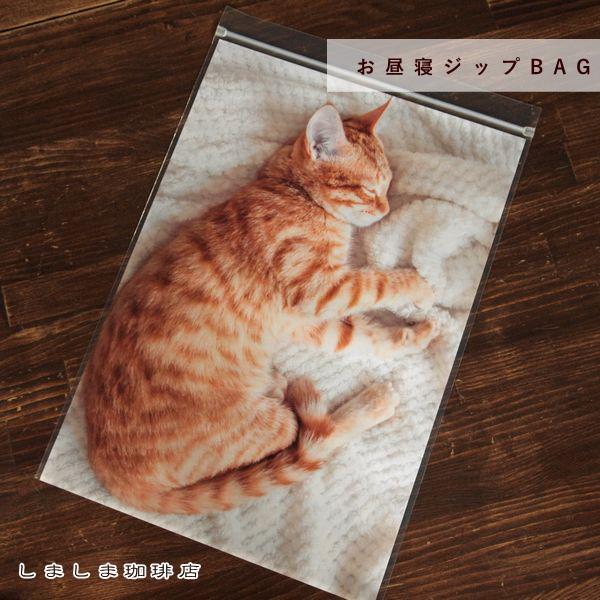 お昼寝ジップBAG A4 ミー CAT 密閉袋 猫 【レターパックプラス可20個・レターパックライト可10個・メール便可5個まで】B | 